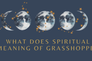 Spiritual Meaning of Grasshopper