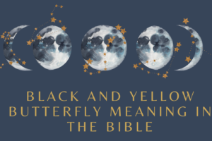 Black and Yellow Butterfly meaning in the Bible