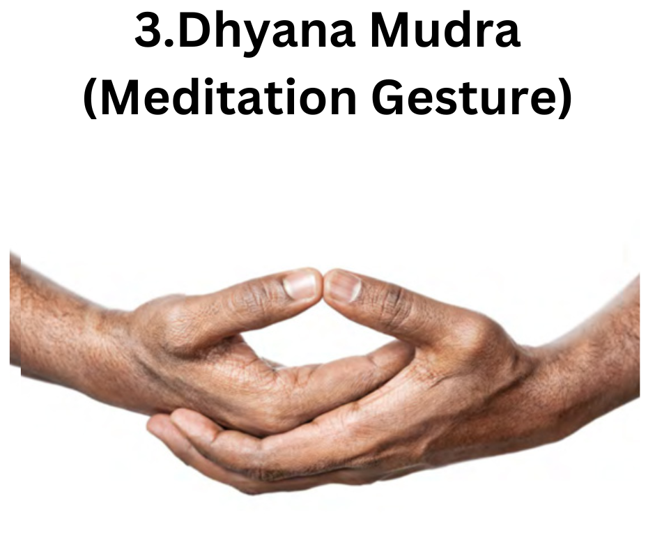 3.Dhyana Mudra (Meditation Gesture)