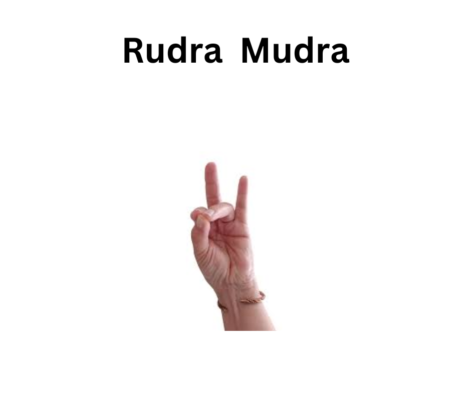 rudra  Mudra