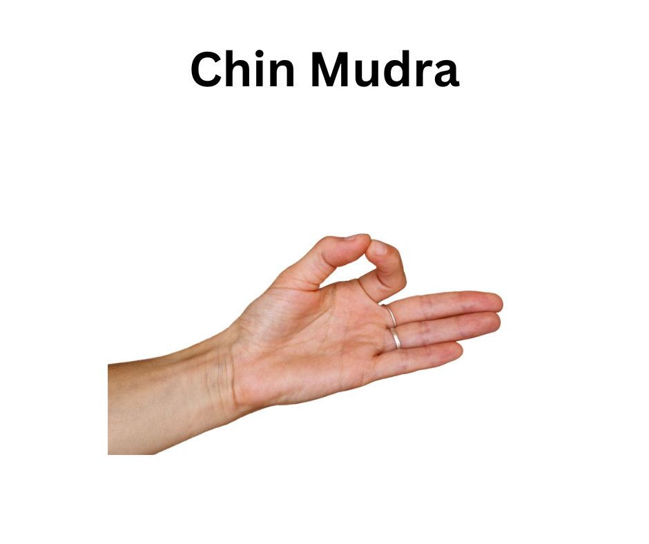 Chin Mudra