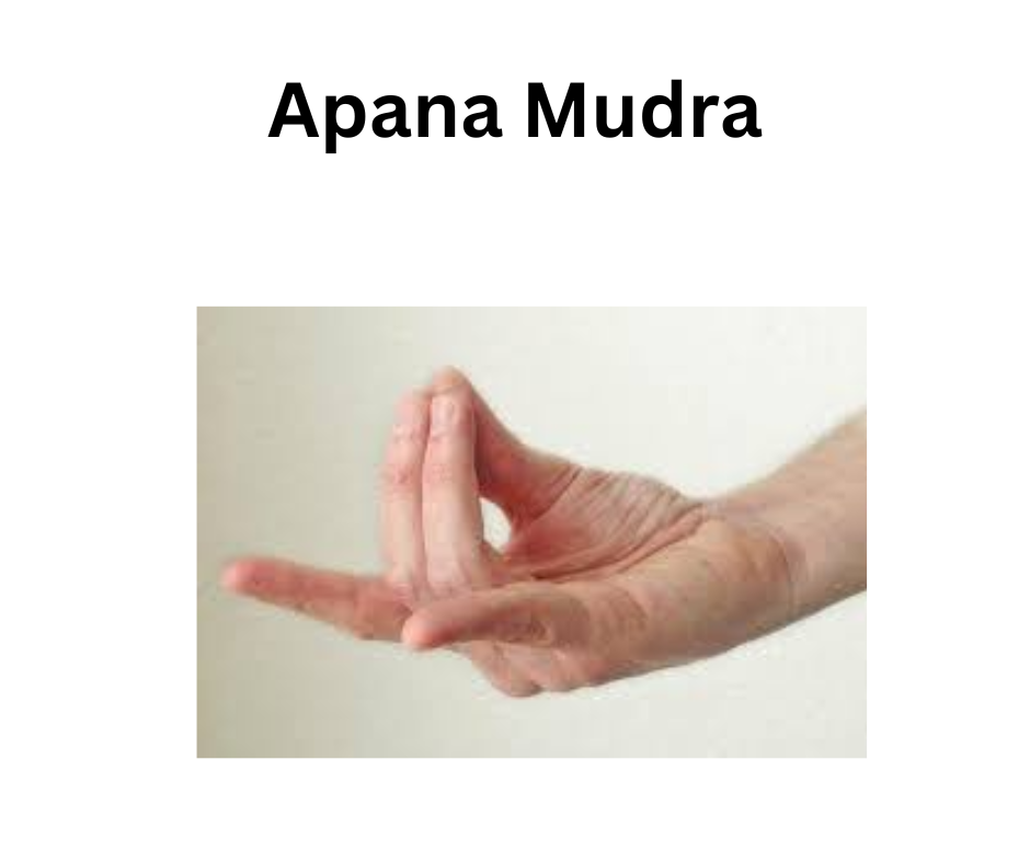 Apana Mudra